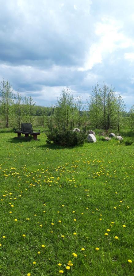 Ponka Guesthouse Jõesuu Zewnętrze zdjęcie
