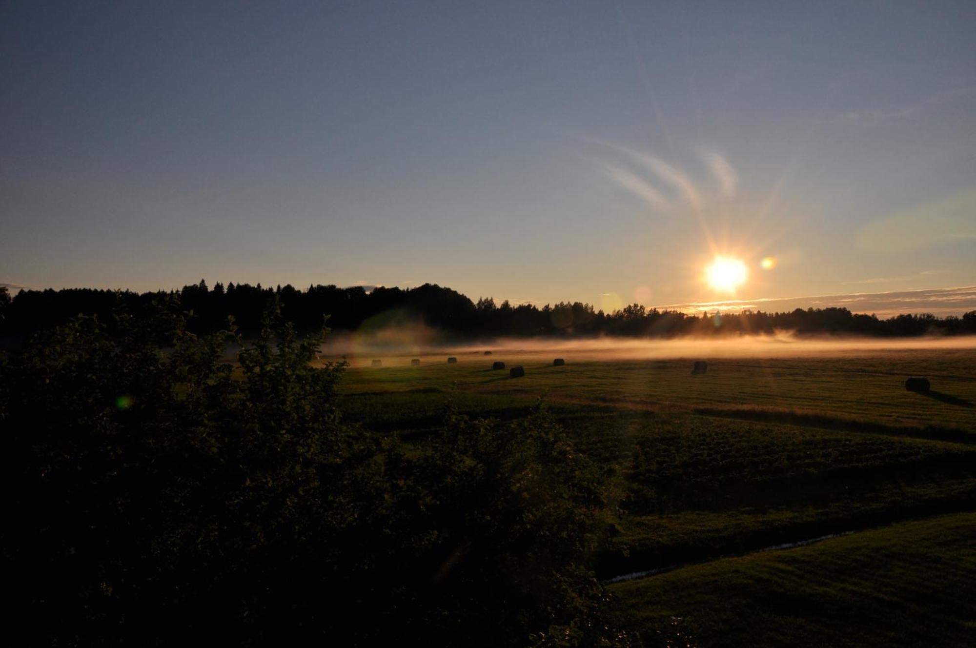 Ponka Guesthouse Jõesuu Zewnętrze zdjęcie